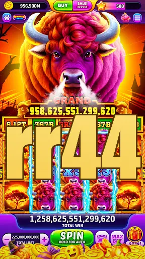 rr44 APK